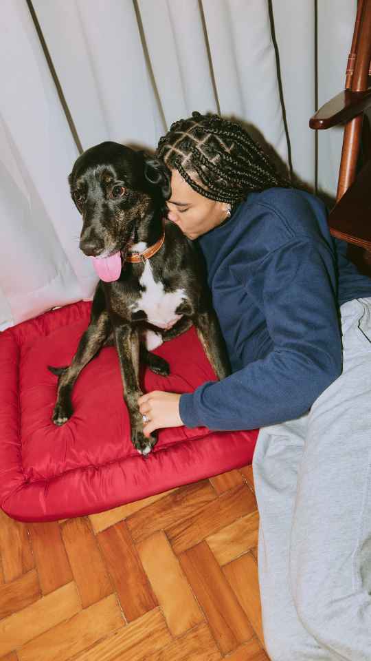 Jeanne Herault dogsitter