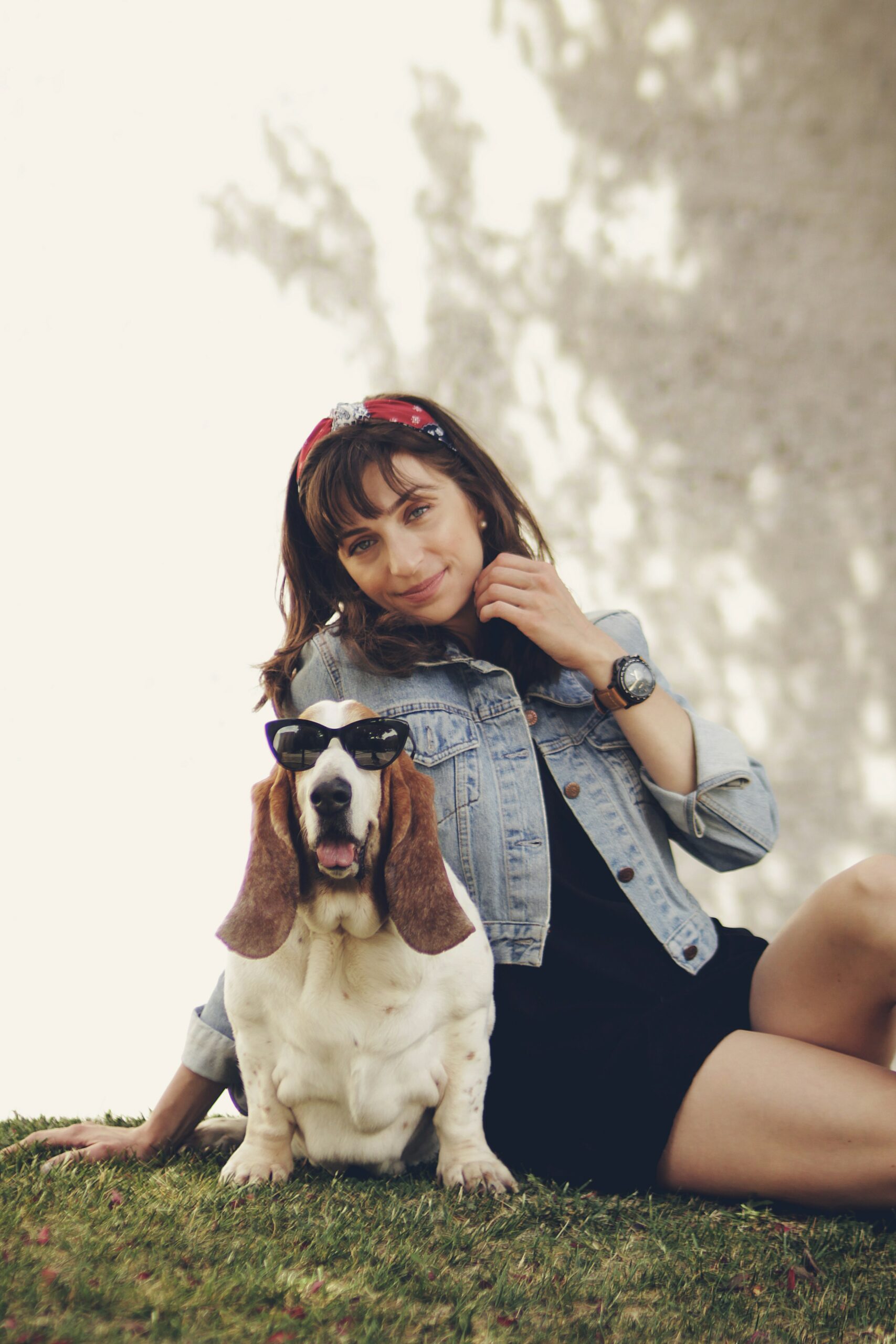 dogsitter dogsitter